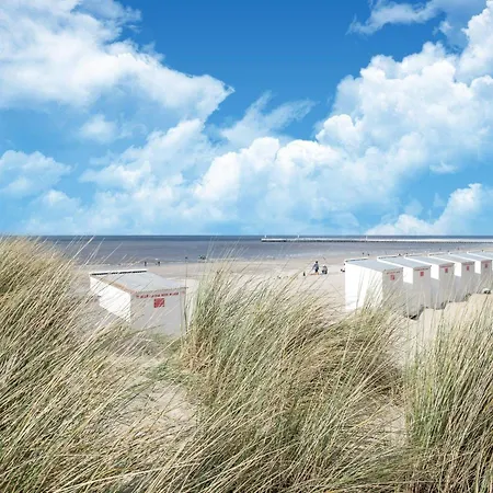 Near Belgian Coast With Terrace, Cleaning Included *