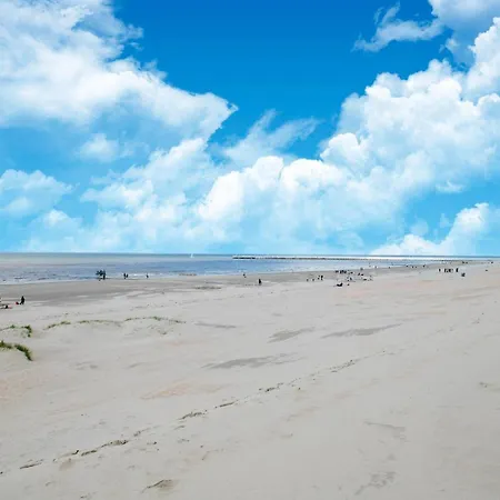 Near Belgian Coast With Terrace, Cleaning Included